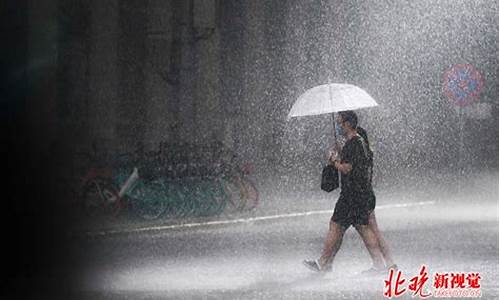 北京明天大到暴雨_北京天气预报大到暴雨