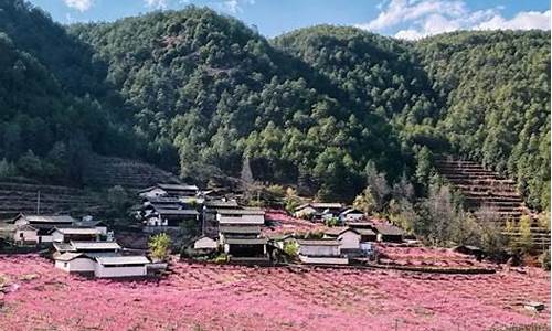 丽江天气预报一周七天_丽江一周天气预报3