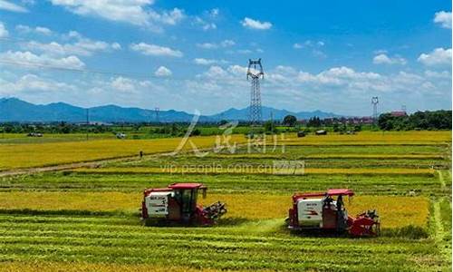 江西樟树天气预报_江西樟树天气