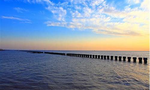 滨海天气预报15天查询百度_滨海天气