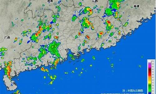 湛江下雨了吗_湛江今天下雨吗