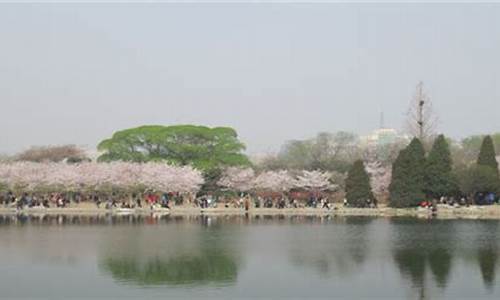 蠡县天气预报一周_天气预报蠡县天气预报