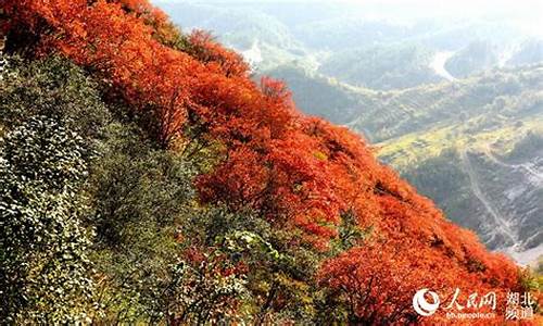 郧县天气预报15天查询_郧县天气预报